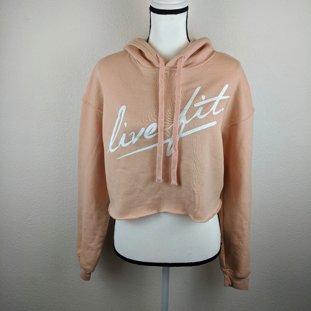 NWOT LVFT Ballerina Pink Crop Hoodie S